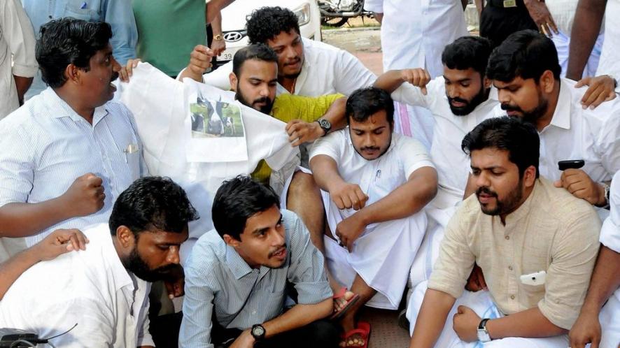 kerala-beef-row-kerala-police-arrests-8-youth-cong-workers-including-former-iyc-kannur-parliament-constituency-committee-rijil-makutty-for-killing-an-ox-ss