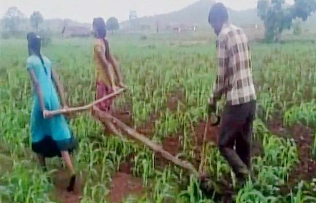Due to the compulsion of the farmer's father, daughters doing this due to poverty