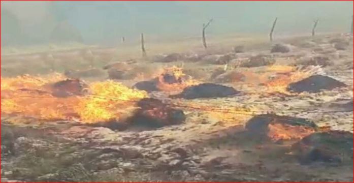 Burning 50 bighas of land from fire in Hardoi